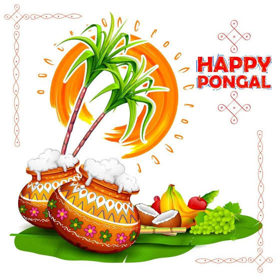 Pongal collection
